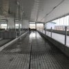ferme-dorsimo-inc--ste-ccile-de-lvrard-2