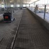 ferme-dorsimo-inc--ste-ccile-de-lvrard-3
