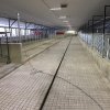 ferme-f-ct-et-fils-de-cookshire-eaton-2