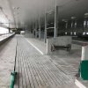 ferme-richard-blanchette-et-fils--la-prsentation-2