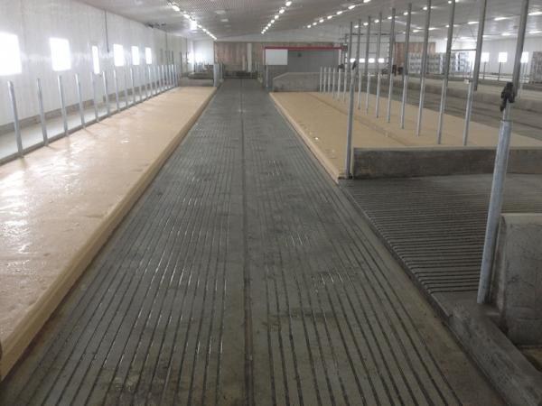 Sciage de béton (5)